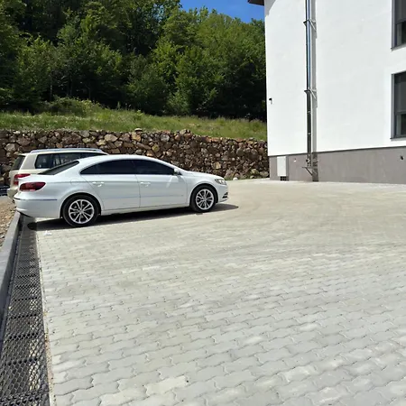 Apartment Park House Mountain View Polyana (Transcarpathia)
